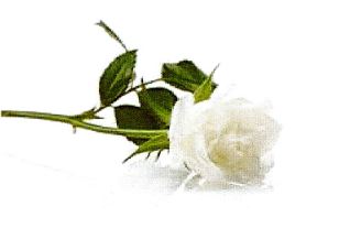 Symbole